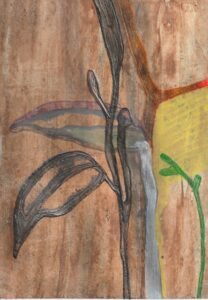 fond bristol 4 copie